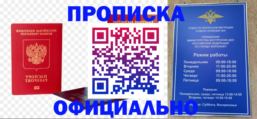 прописка иностранных граждан в Камчатском крае